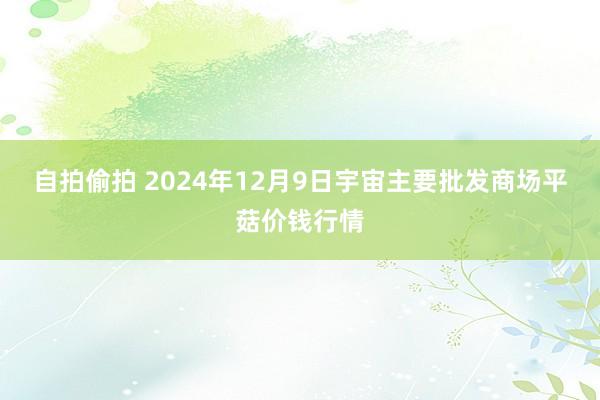 自拍偷拍 2024年12月9日宇宙主要批发商场平菇价钱行情