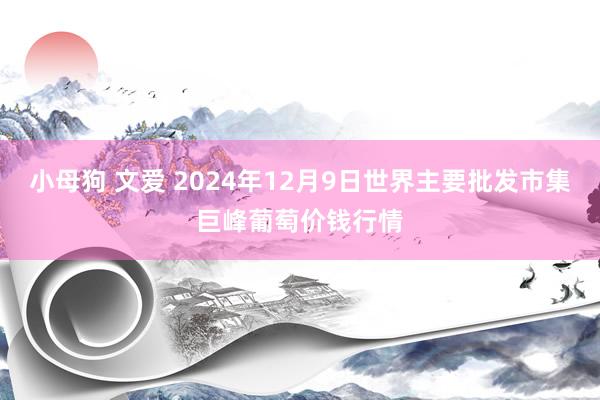 小母狗 文爱 2024年12月9日世界主要批发市集巨峰葡萄价钱行情