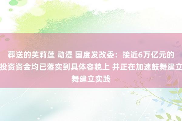 葬送的芙莉莲 动漫 国度发改委：接近6万亿元的政府投资资金均已落实到具体容貌上 并正在加速鼓舞建立实践