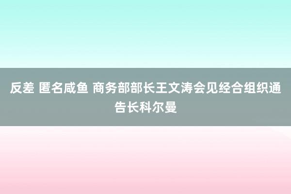 反差 匿名咸鱼 商务部部长王文涛会见经合组织通告长科尔曼