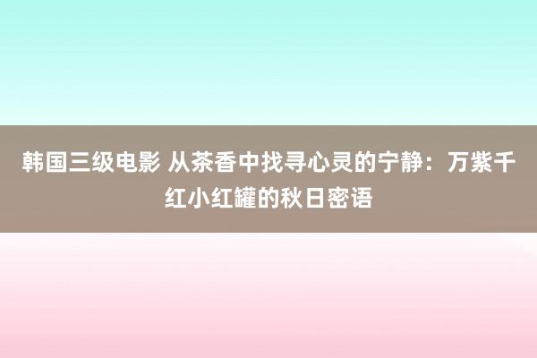 韩国三级电影 从茶香中找寻心灵的宁静：万紫千红小红罐的秋日密语