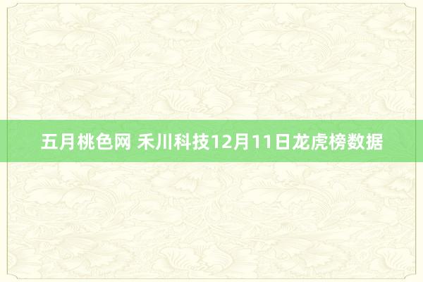 五月桃色网 禾川科技12月11日龙虎榜数据