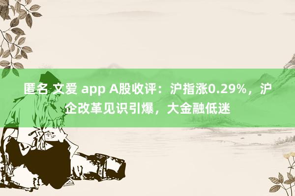 匿名 文爱 app A股收评：沪指涨0.29%，沪企改革见识引爆，大金融低迷