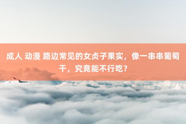 成人 动漫 路边常见的女贞子果实，像一串串葡萄干，究竟能不行吃？