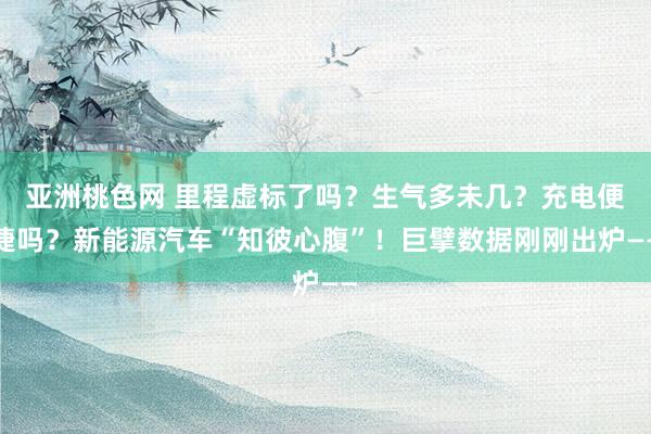 亚洲桃色网 里程虚标了吗？生气多未几？充电便捷吗？新能源汽车“知彼心腹”！巨擘数据刚刚出炉——