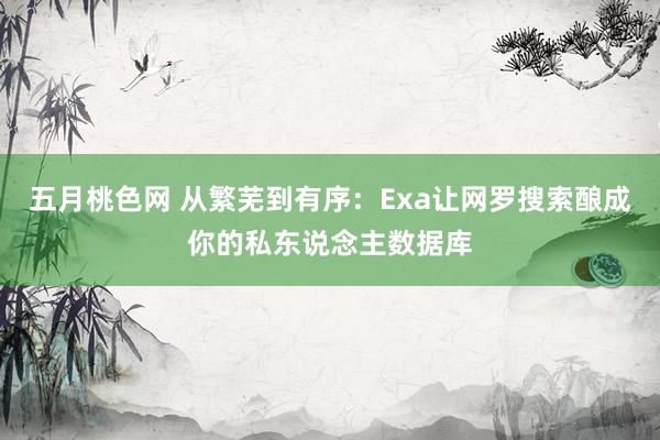 五月桃色网 从繁芜到有序：Exa让网罗搜索酿成你的私东说念主数据库