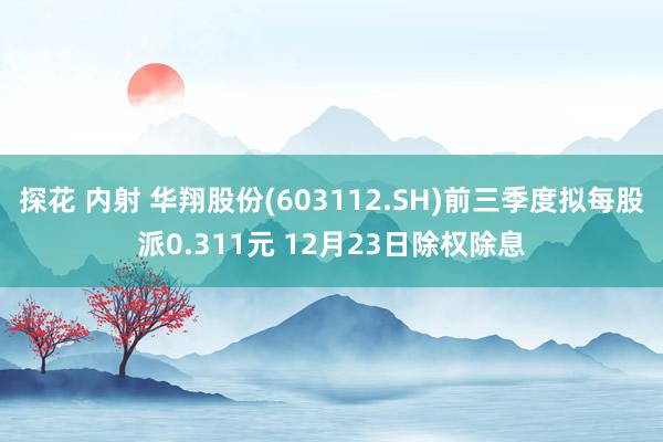 探花 内射 华翔股份(603112.SH)前三季度拟每股派0.311元 12月23日除权除息