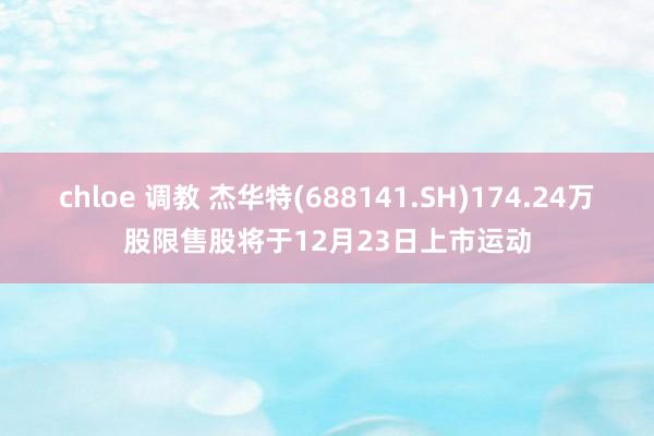 chloe 调教 杰华特(688141.SH)174.24万股限售股将于12月23日上市运动