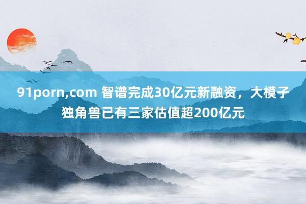 91porn，com 智谱完成30亿元新融资，大模子独角兽已有三家估值超200亿元