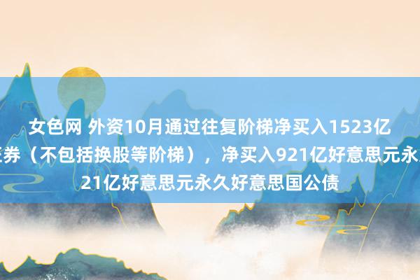 女色网 外资10月通过往复阶梯净买入1523亿好意思元永久证券（不包括换股等阶梯），净买入921亿好意思元永久好意思国公债