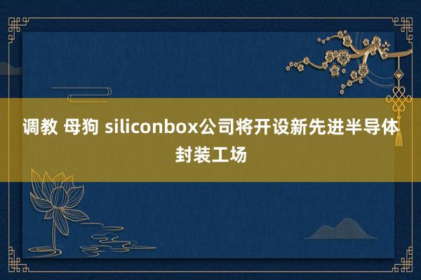 调教 母狗 siliconbox公司将开设新先进半导体封装工场