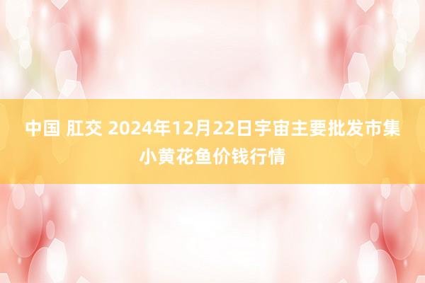 中国 肛交 2024年12月22日宇宙主要批发市集小黄花鱼价钱行情