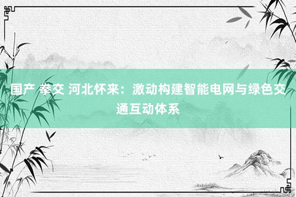 国产 拳交 河北怀来：激动构建智能电网与绿色交通互动体系