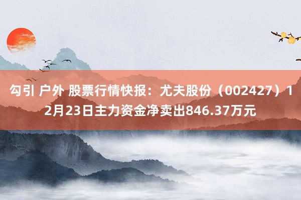 勾引 户外 股票行情快报：尤夫股份（002427）12月23日主力资金净卖出846.37万元