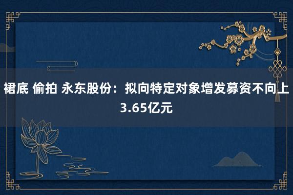 裙底 偷拍 永东股份：拟向特定对象增发募资不向上3.65亿元