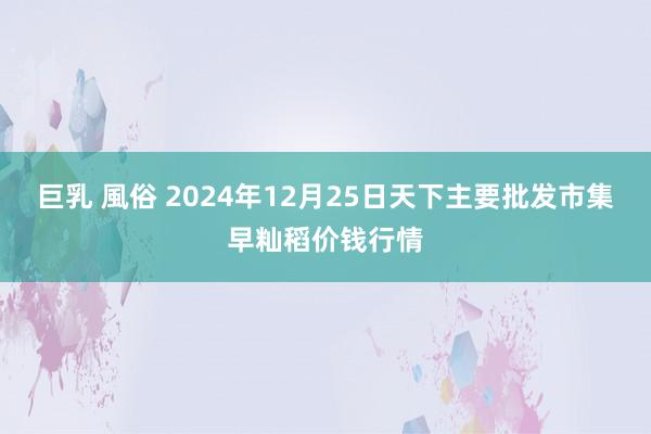 巨乳 風俗 2024年12月25日天下主要批发市集早籼稻价钱行情