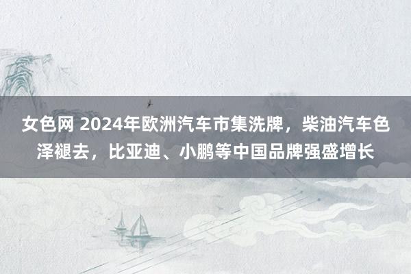 女色网 2024年欧洲汽车市集洗牌，柴油汽车色泽褪去，比亚迪、小鹏等中国品牌强盛增长