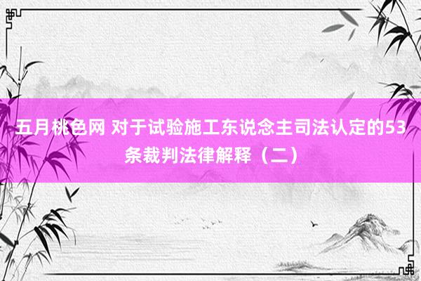 五月桃色网 对于试验施工东说念主司法认定的53条裁判法律解释（二）