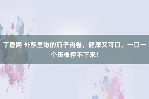 丁香网 外酥里嫩的茄子肉卷，健康又可口，一口一个压根停不下来！