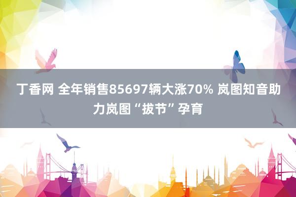 丁香网 全年销售85697辆大涨70% 岚图知音助力岚图“拔节”孕育