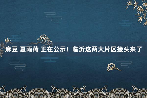 麻豆 夏雨荷 正在公示！临沂这两大片区接头来了