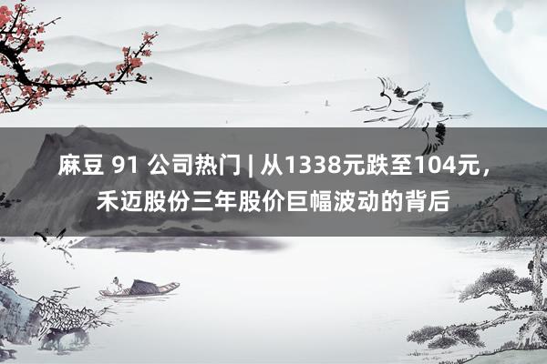 麻豆 91 公司热门 | 从1338元跌至104元，禾迈股份三年股价巨幅波动的背后