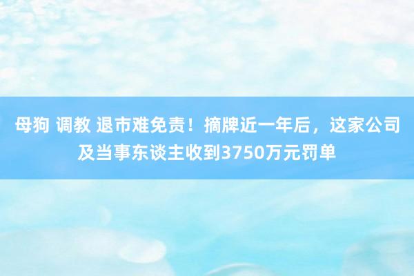 母狗 调教 退市难免责！摘牌近一年后，这家公司及当事东谈主收到3750万元罚单