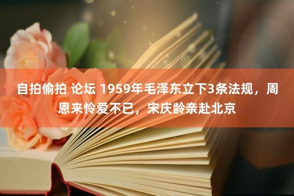 自拍偷拍 论坛 1959年毛泽东立下3条法规，周恩来怜爱不已，宋庆龄亲赴北京