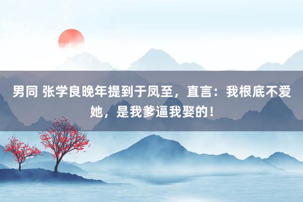 男同 张学良晚年提到于凤至，直言：我根底不爱她，是我爹逼我娶的！