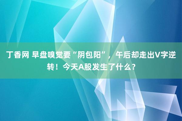 丁香网 早盘嗅觉要“阴包阳”，午后却走出V字逆转！今天A股发生了什么？