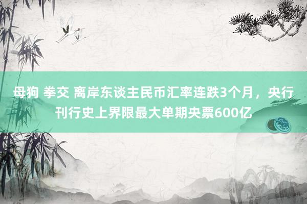 母狗 拳交 离岸东谈主民币汇率连跌3个月，央行刊行史上界限最大单期央票600亿