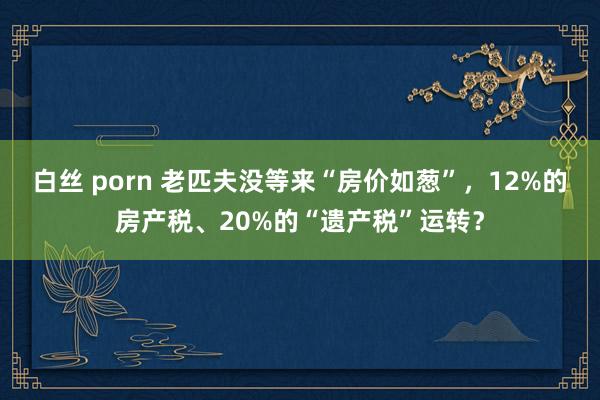 白丝 porn 老匹夫没等来“房价如葱”，12%的房产税、20%的“遗产税”运转？