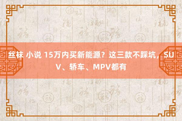 丝袜 小说 15万内买新能源？这三款不踩坑，SUV、轿车、MPV都有