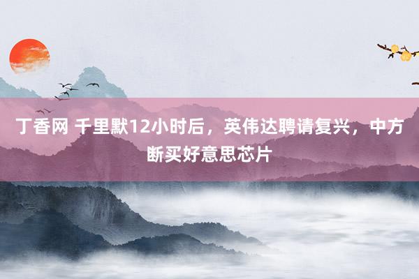 丁香网 千里默12小时后，英伟达聘请复兴，中方断买好意思芯片