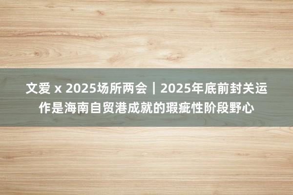 文爱 x 2025场所两会｜2025年底前封关运作是海南自贸港成就的瑕疵性阶段野心