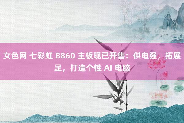 女色网 七彩虹 B860 主板现已开售：供电强，拓展足，打造个性 AI 电脑