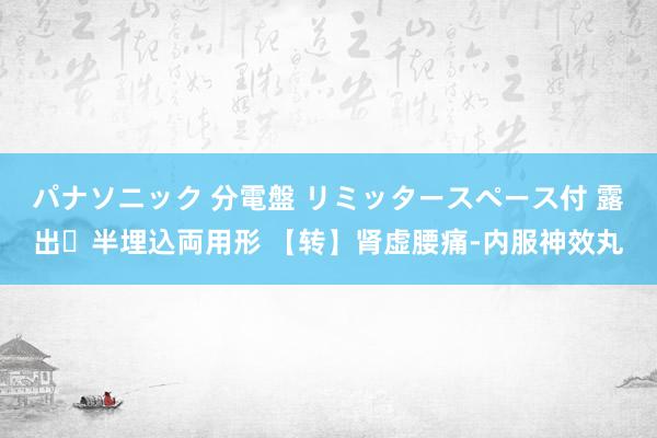 パナソニック 分電盤 リミッタースペース付 露出・半埋込両用形 【转】肾虚腰痛-内服神效丸