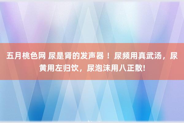 五月桃色网 尿是肾的发声器 ！尿频用真武汤，尿黄用左归饮，尿泡沫用八正散!