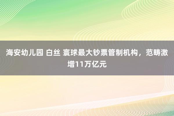 海安幼儿园 白丝 寰球最大钞票管制机构，范畴激增11万亿元